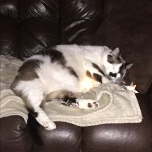 Meet your Posher, Jonathan